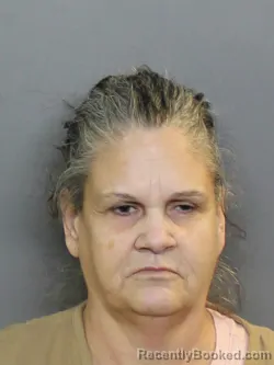 Mugshot of THERESA MARIE BARKER booked in Charlotte County, Florida on June 25, 2026