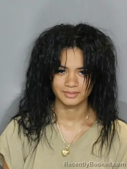 Mugshot of WENDELIN BIART booked in Charlotte County, Florida on April 26, 2026