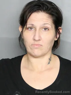 Booking photo from Charlotte County, Florida