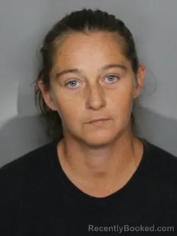 Mugshot of AMANDA VETRIS CARD