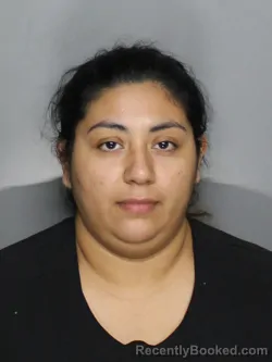 Mugshot of BRENDA ARACELY CASTANEDA REYES