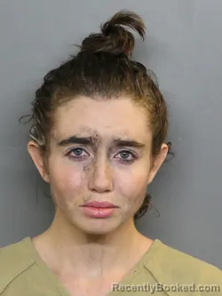 Mugshot of BROOKE LYNN CARANDANTE booked in Charlotte County, Florida on July 1, 2026