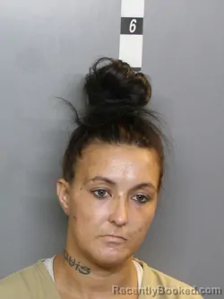 Mugshot of Coral Brittany Collins booked in Charlotte County, Florida on August 14, 2026