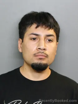 Mugshot of CRISTOBAL EMILIANO CASTRO MINOR booked in Charlotte County, Florida on June 30, 2026