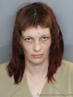 Mugshot of CRYSTAL MARIE CLARK booked in Charlotte County, Florida on May 21, 2026