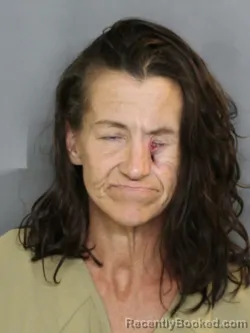 Mugshot of CHRISTINA MARIE COOPER booked in Charlotte County, Florida on April 28, 2026