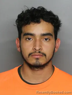 Mugshot of DILMER CALDERON MARTINEZ