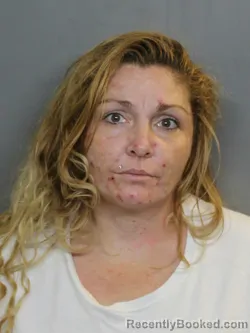 Mugshot of Deborah Ann Consolo booked in Charlotte County, Florida on August 8, 2026
