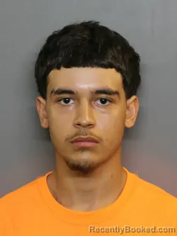 Mugshot of Everardo Castellanos booked in Charlotte County, Florida on August 12, 2026