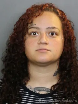 Mugshot of Gabrielle Concepcion Perez booked in Charlotte County, Florida on September 29, 2026