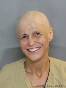 Mugshot of LISA ANN CALDERON booked in Charlotte County, Florida on June 9, 2026