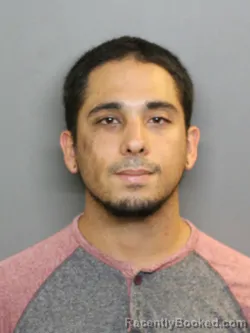 Mugshot of Lucas Santana Avelar Carvalho booked in Charlotte County, Florida on August 6, 2026