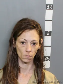 Mugshot of Maegan Elizabeth Curtis booked in Charlotte County, Florida on September 17, 2026