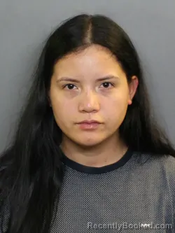 Mugshot of Maria Fernanda Carrascal booked in Charlotte County, Florida on August 18, 2026
