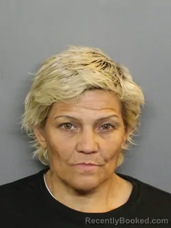 Mugshot of MENDY MARIE CARTER booked in Charlotte County, Florida on July 25, 2026