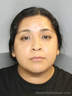 Mugshot of SAIDA JUDITH CRUZ TIERRAFRIA booked in Charlotte County, Florida on May 17, 2026