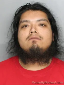 Mugshot of TIMOTEO CALZADA