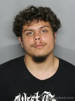 Mugshot of THOMAS MICHAEL CERNARO