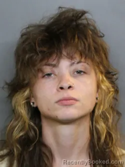 Mugshot of Annalyse K Dunn Fischer booked in Charlotte County, Florida on September 14, 2026
