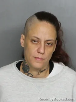Mugshot of DEBRA ANN DATTILO