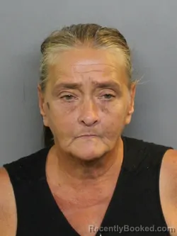 Mugshot of Deborah Kay Dill booked in Charlotte County, Florida on October 21, 2026