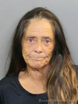Mugshot of Felicia Marie Demaio booked in Charlotte County, Florida on September 5, 2026
