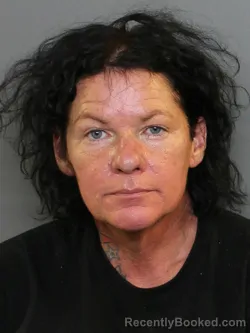 Mugshot of Katie Marie Demilio booked in Charlotte County, Florida on September 24, 2026