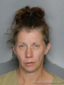 Mugshot of NICOLE DOMINGS