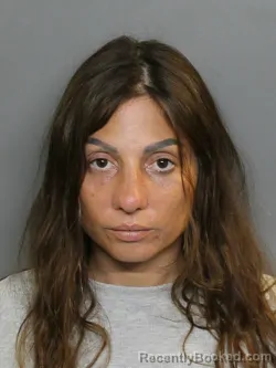 Mugshot of NICHOLE LYNN DIFIORE booked in Charlotte County, Florida on July 26, 2026