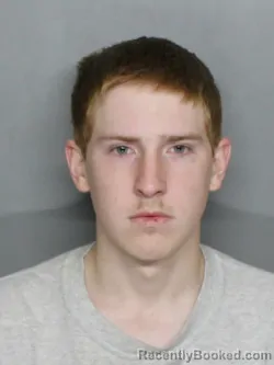 Mugshot of RYAN LOUIS DOMATO