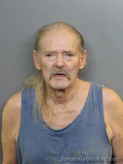 Mugshot of STEFAN LEE ENGGREN booked in Charlotte County, Florida on June 16, 2026