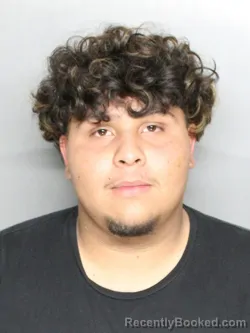 Mugshot of EDUARDO FABIAN RAMIREZ