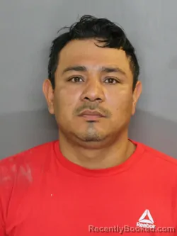 Mugshot of CESAR ALEJANDRO GARCIA RAMIREZ booked in Charlotte County, Florida on April 28, 2026