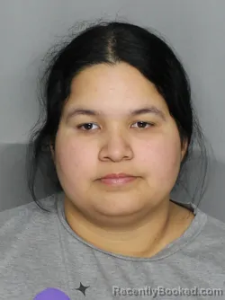 Mugshot of MIRIALBER VANESSA GIMENEZ PEROZO