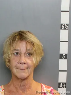 Mugshot of Mary Virginia Grubisich booked in Charlotte County, Florida on October 11, 2026