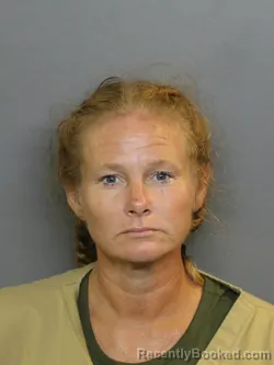 Mugshot of SAMANTHA D GOLONSKA booked in Charlotte County, Florida on July 25, 2026