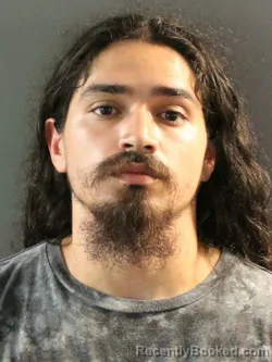 Mugshot of ALEXIS HERNANDEZ booked in Charlotte County, Florida on May 13, 2026