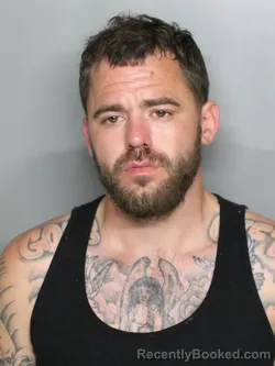 Mugshot of BRIAN JEROME HARTMANSTORFER