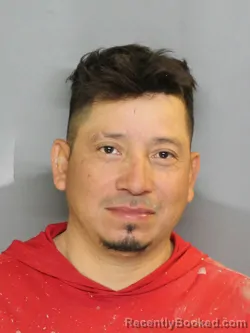 Mugshot of CARLOS ANTONIO HERNANDEZ FUENTES booked in Charlotte County, Florida on May 5, 2026