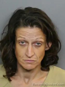 Mugshot of HEIDI AHNNAH LEISE HENDRICKS booked in Charlotte County, Florida on June 26, 2026