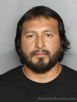 Mugshot of IRRAEL HERNANDEZ SALAS