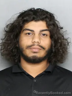 Mugshot of JADEN LUIS HERRERA MADERA