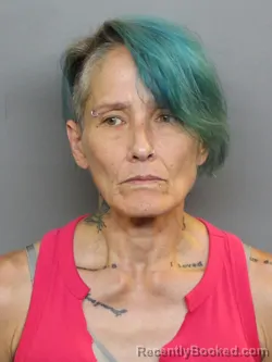 Mugshot of KATHLEEN RENAE HITT booked in Charlotte County, Florida on June 18, 2026