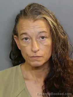 Mugshot of Lori Lee Harris booked in Charlotte County, Florida on August 17, 2026