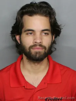 Mugshot of PATRICK THOMAS HERZOG