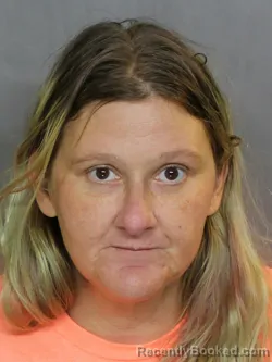 Mugshot of GRETCHEN ANN INDARJIT booked in Charlotte County, Florida on April 30, 2026