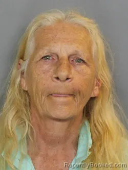 Mugshot of BRENDA LEE JOHNSON booked in Charlotte County, Florida on May 18, 2026