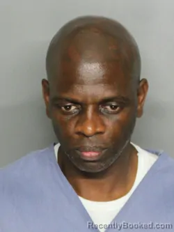 Mugshot of DWAYNE JOHNSON