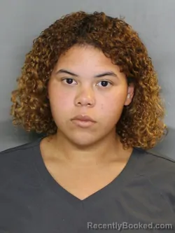 Mugshot of IVANYELIS JIMENEZ COLON booked in Charlotte County, Florida on April 27, 2026