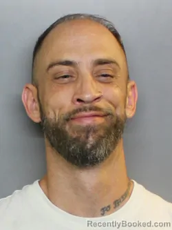 Mugshot of MICHAEL JOHN JELLEY booked in Charlotte County, Florida on June 24, 2026